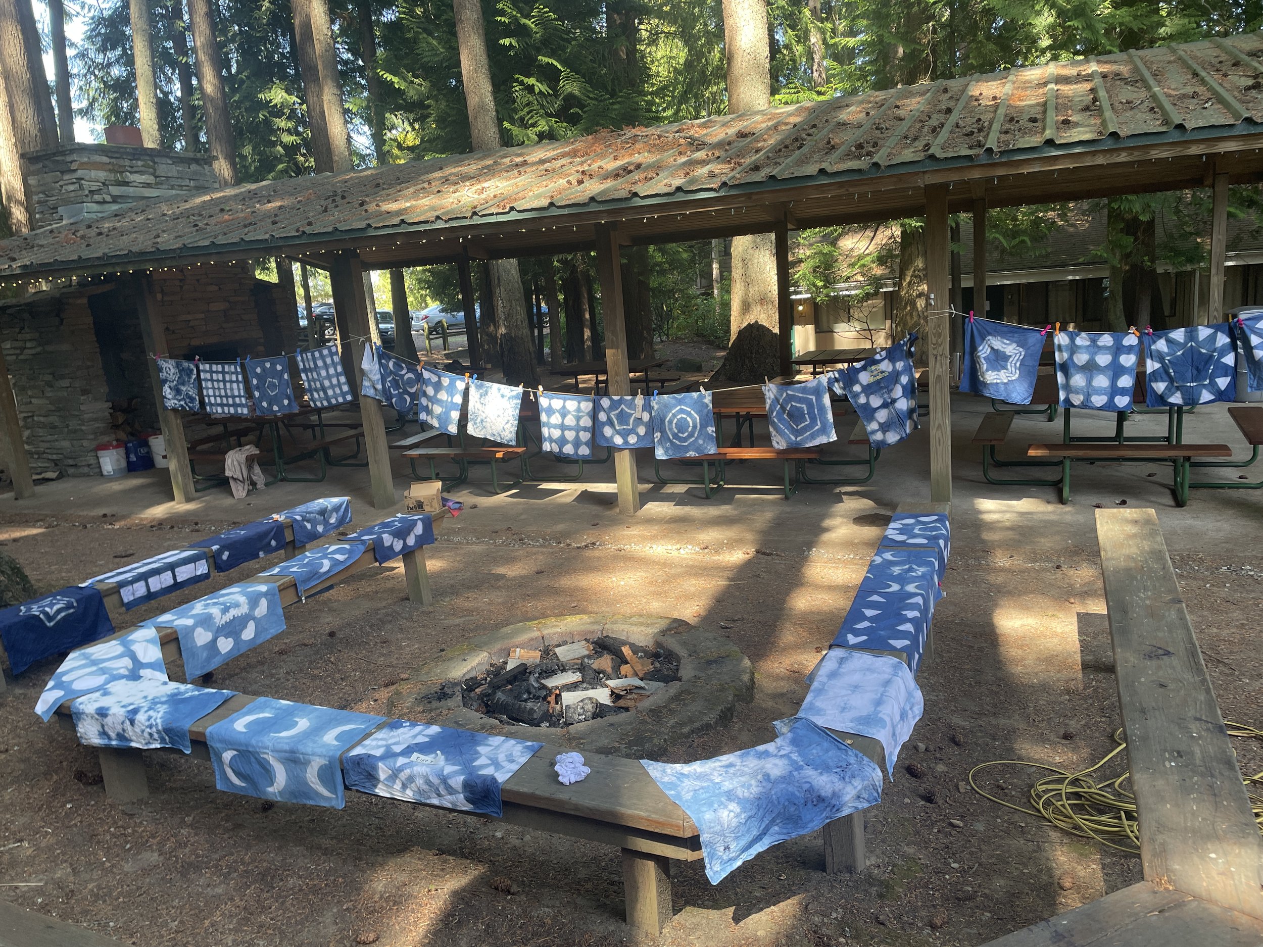 Natural Dye Workshops