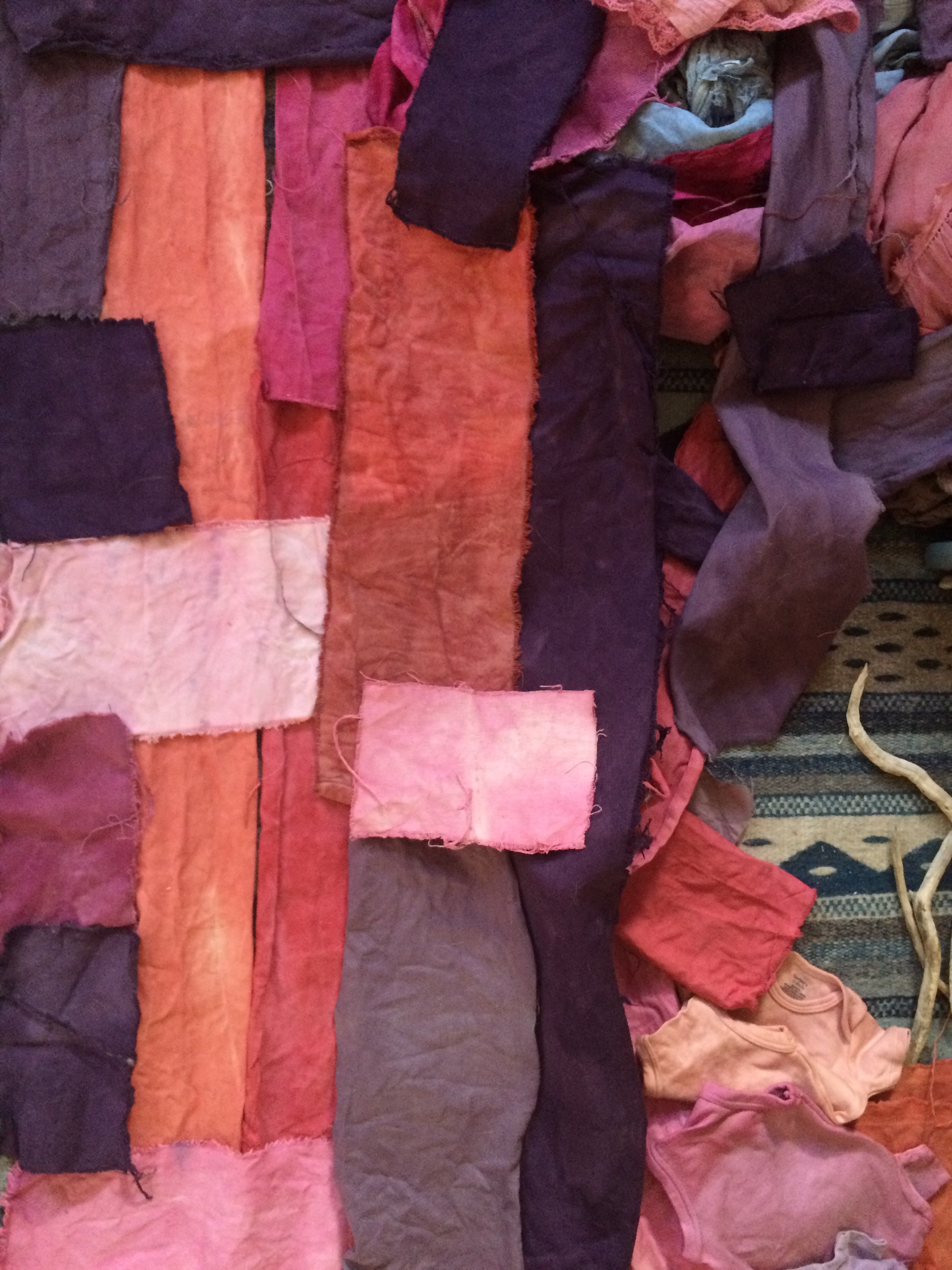 INDIGO & SOCIAL JUSTICE CURRICULUM